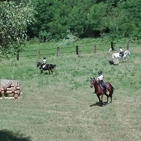 Bed & Breakfast Il Casolare Del Medio Olona Fagnano Olona