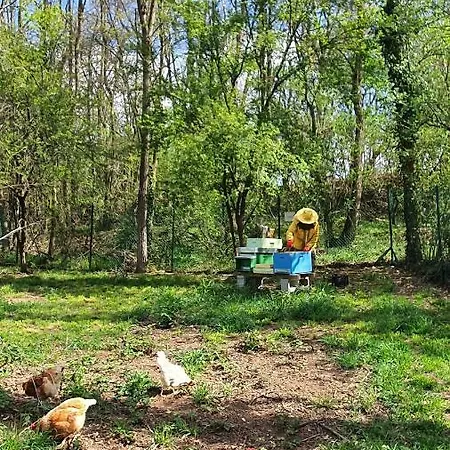 Il Casolare Del Medio Olona