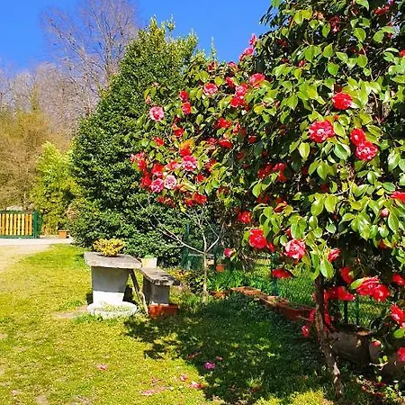 Bed & Breakfast Il Casolare Del Medio Olona Fagnano Olona