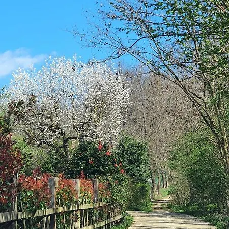 Il Casolare Del Medio Olona Fagnano Olona