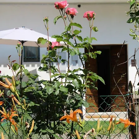 Bed & Breakfast Il Casolare Del Medio Olona Fagnano Olona